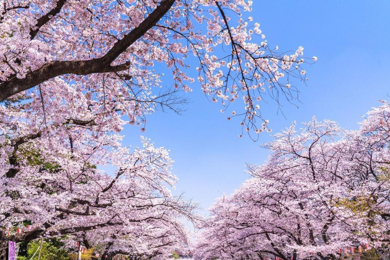 Hotel Owl Tokyo Nippori Екстериор снимка
